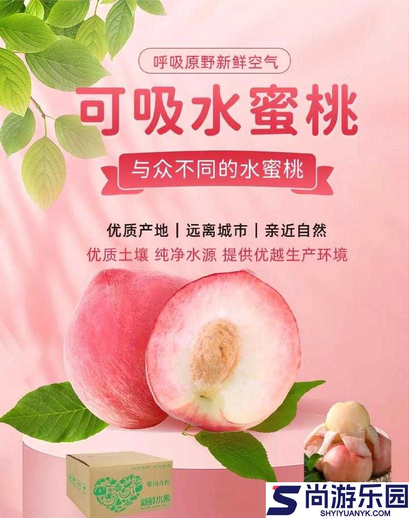 水蜜桃编码