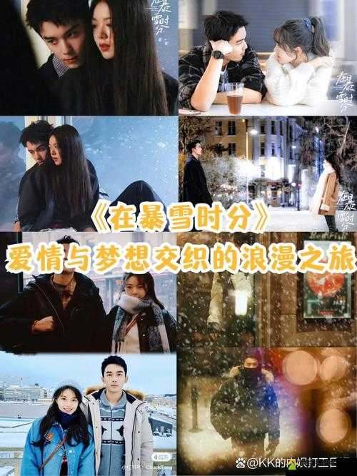 中文字幕-911 爱爱：一场跨越文化与国界的爱情之旅