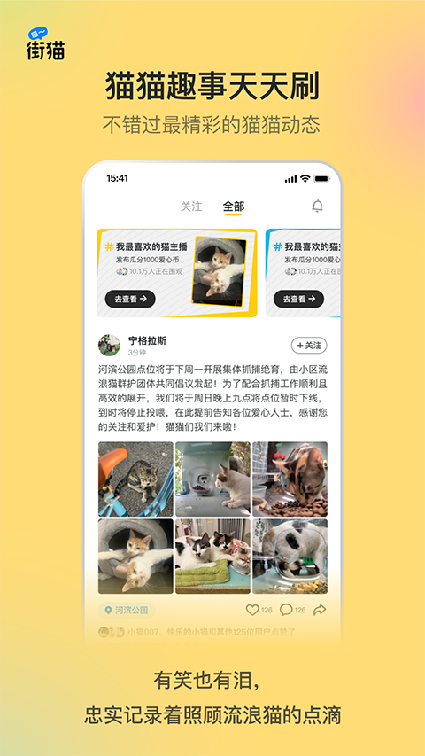 哈啰街猫最新版本2025下载