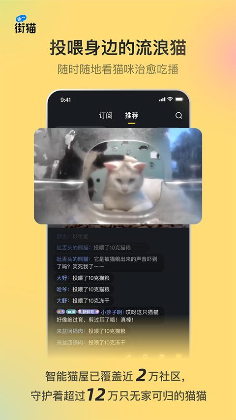 哈啰街猫最新版本2025下载