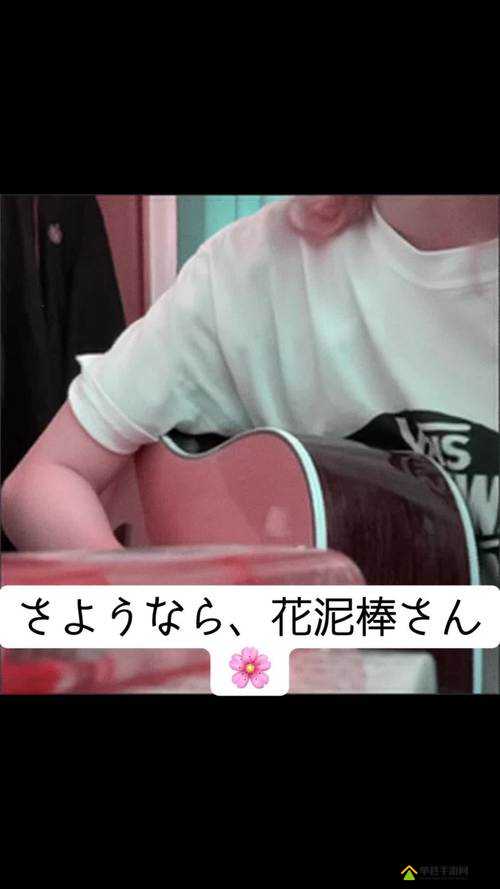 さようなら花泥棒さん歌词上线弹幕功能之精彩呈现