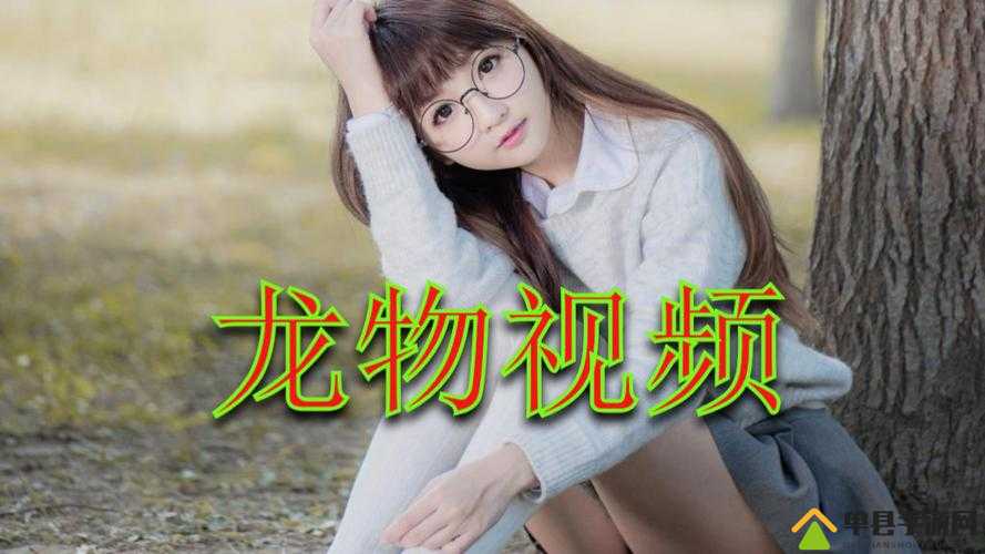 yw1139 龙物视跳转界面：畅享精彩独特视讯之旅