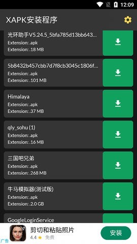 安大师安卓版下载安装