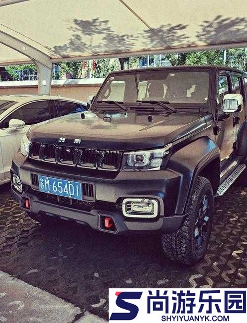 两个我