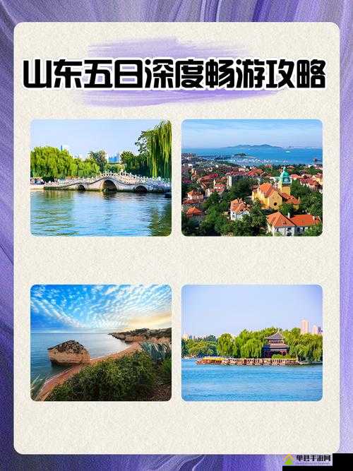 带你了解山东和天天综合网的精彩世界