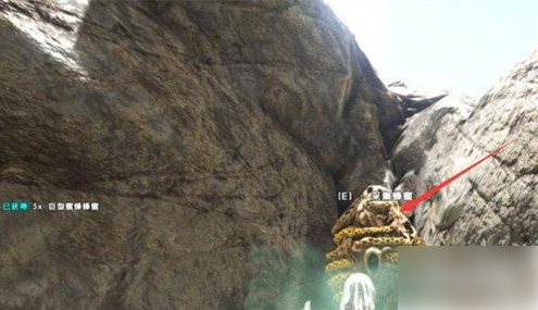 方舟生存进化蔬菜蛋糕怎么制作：蔬菜蛋糕制作方法