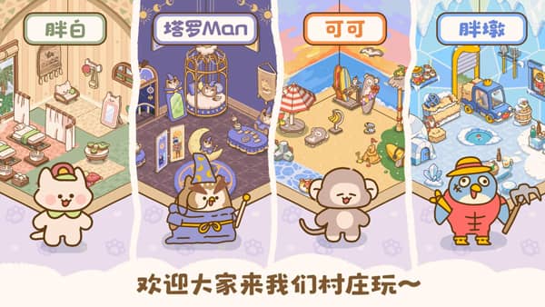 喵喵食谱日记