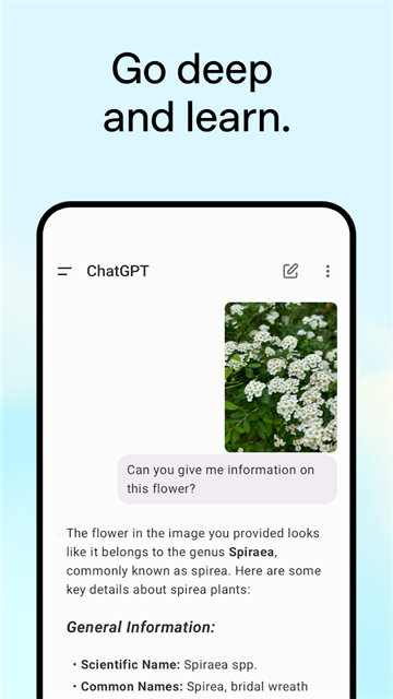 ChatGpt手机端下载
