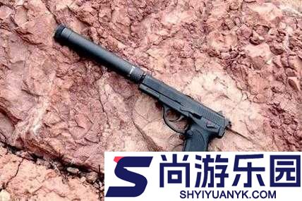 孤岛惊魂5DLC消音手枪获取全攻略