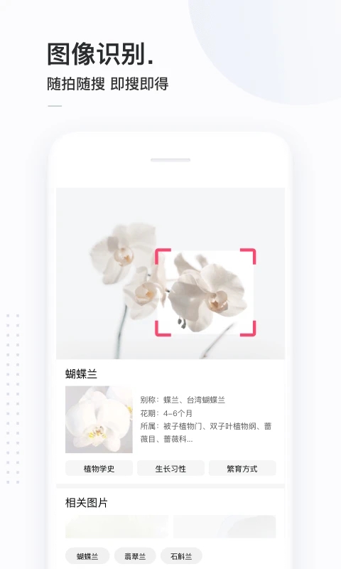 简单搜索旧版本下载