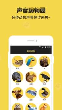 人狗猫交流器APP下载