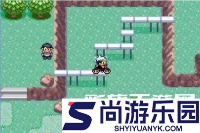 口袋妖怪模拟器安卓手游下载