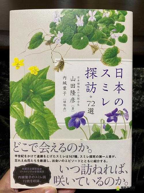 野花社区日本最新相关内容及精彩呈现