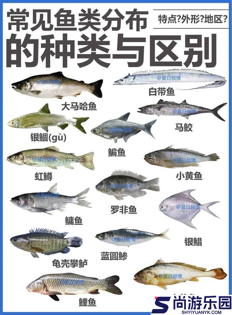 孤岛惊魂5游戏内鱼类分布区域及全种类鱼类详细一览指南