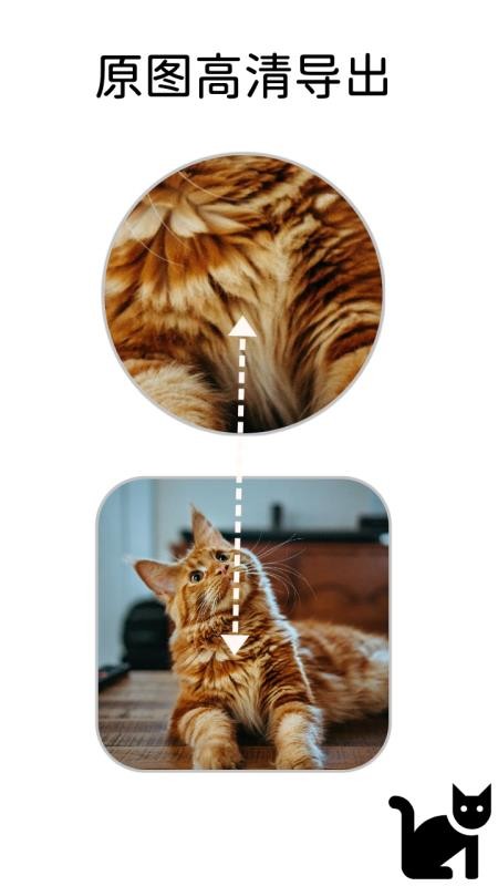 小猫边框图片编辑器
