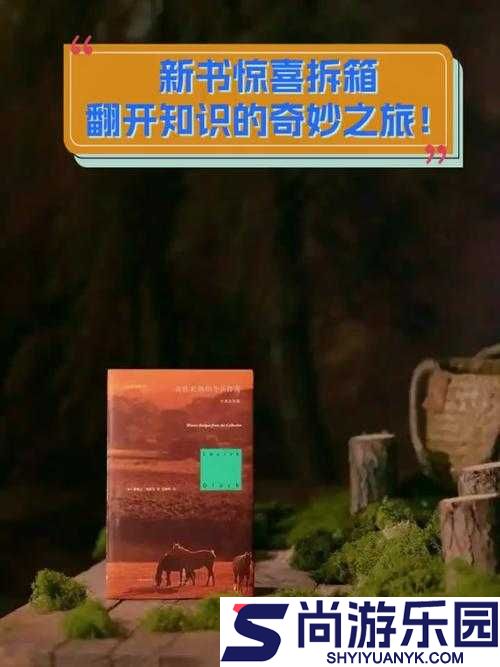 中文字字幕