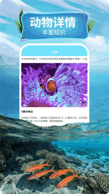 蓝色水世界