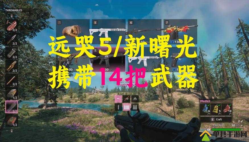 孤岛惊魂5武器皮肤获取攻略，全面解析免费获得方法与技巧