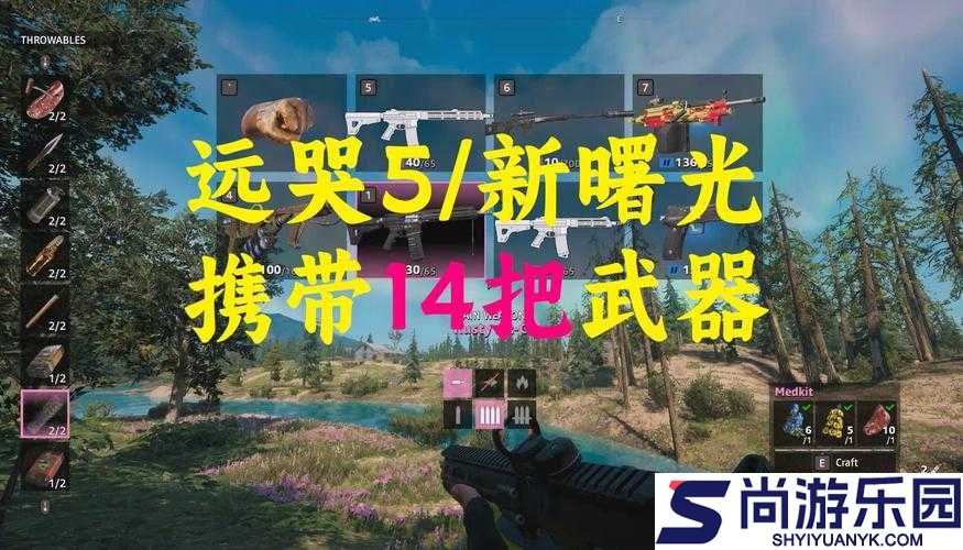 孤岛惊魂5武器皮肤获取攻略