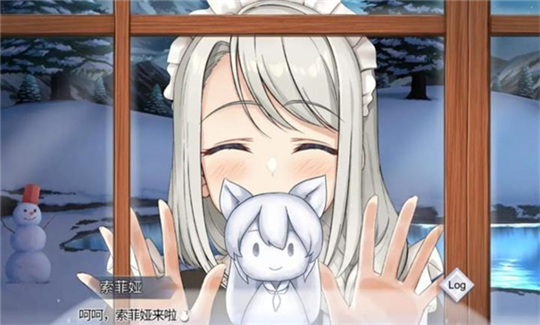 我与索菲亚的秘密中文版
