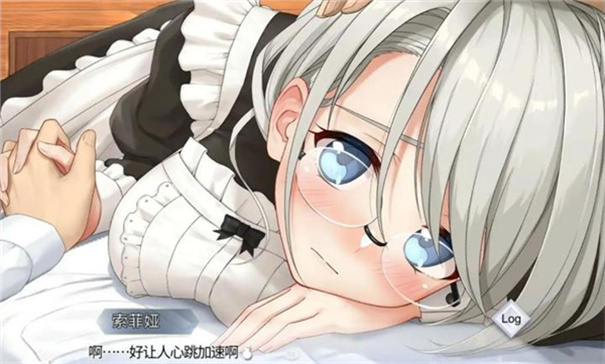我与索菲亚的秘密中文版