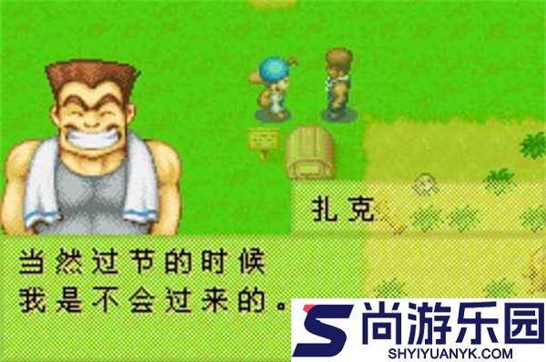 牧场物语矿石镇的伙伴们中文版下载