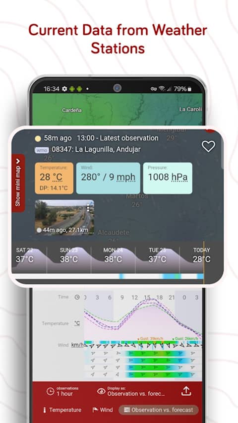 windy气象中文版下载