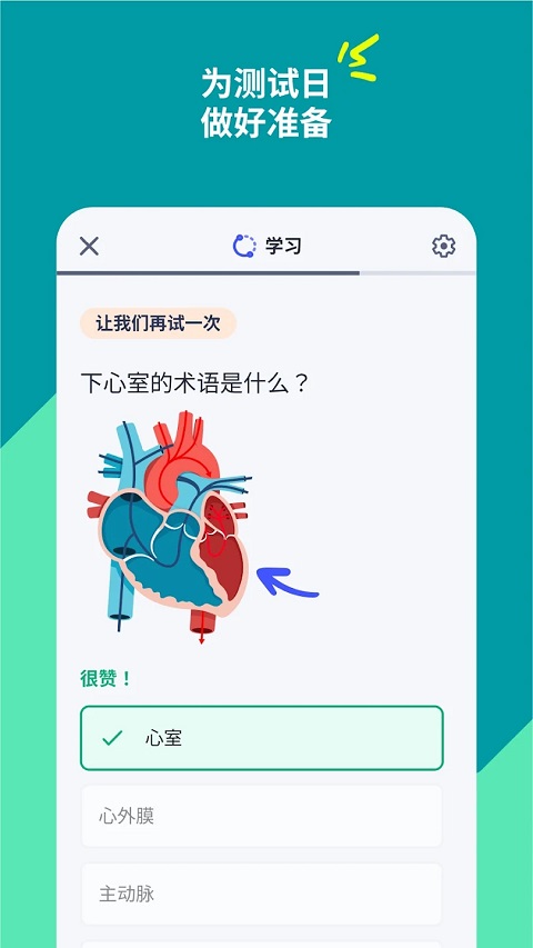 quizlet安卓版下载