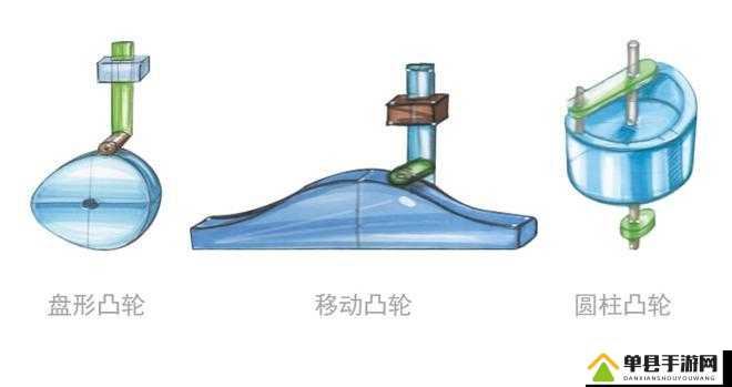 性别自由凸轮与凸轮图片的独特魅力与应用探讨