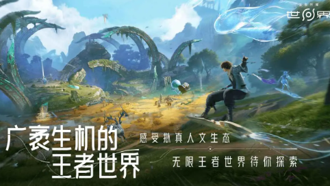云王者荣耀世界