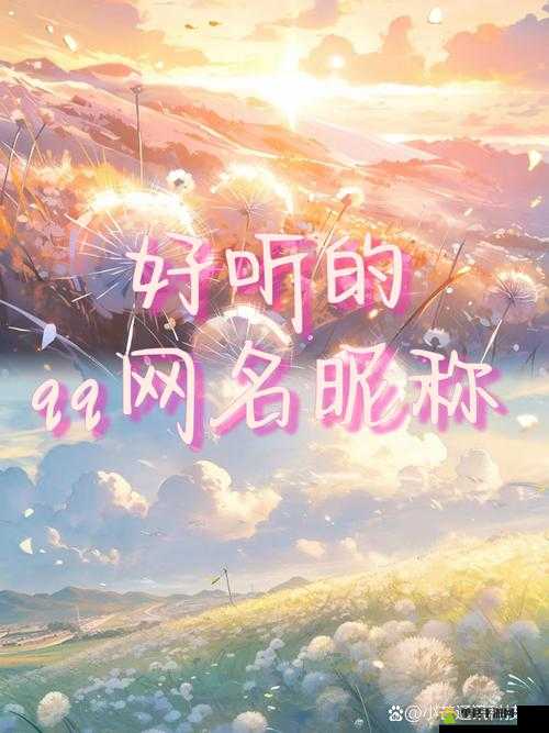 poein181719 ：一段独特且充满魅力的神秘编码