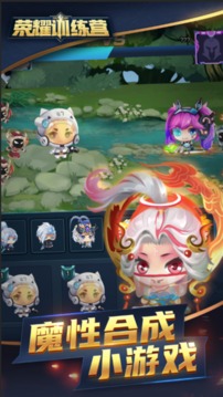荣耀训练营