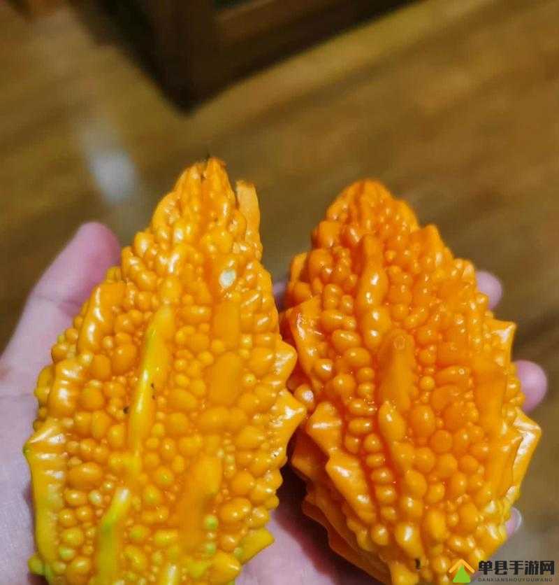 苦瓜网：独特视角呈现别样精彩内容