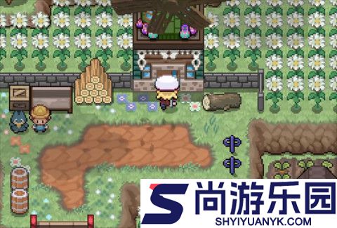 宝可梦轴芯汉化版下载