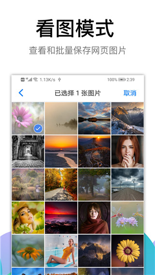 黑狮浏览器下载
