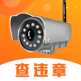 交管查询违章