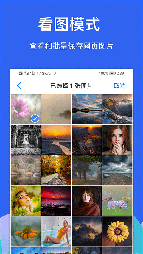 Alook浏览器最新版下载