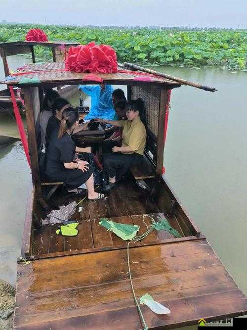 老人船上弄雨荷和普通版对比：展现不同风情与韵味
