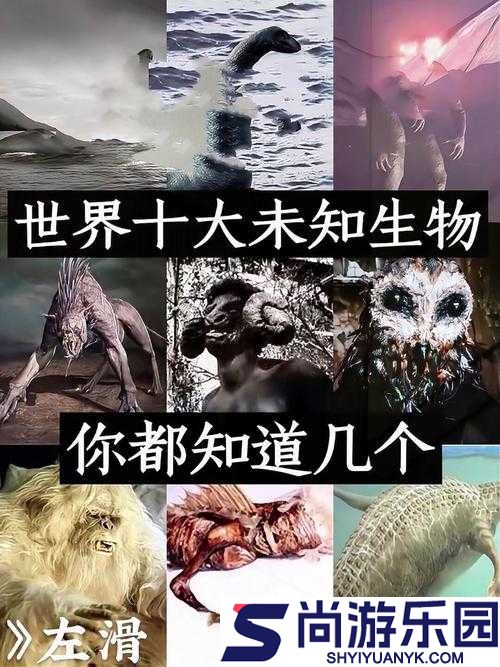 神秘通道入口搜索