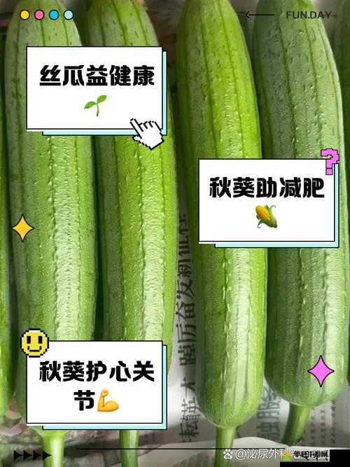 草莓香蕉丝瓜秋葵香草的奇妙组合与独特功效