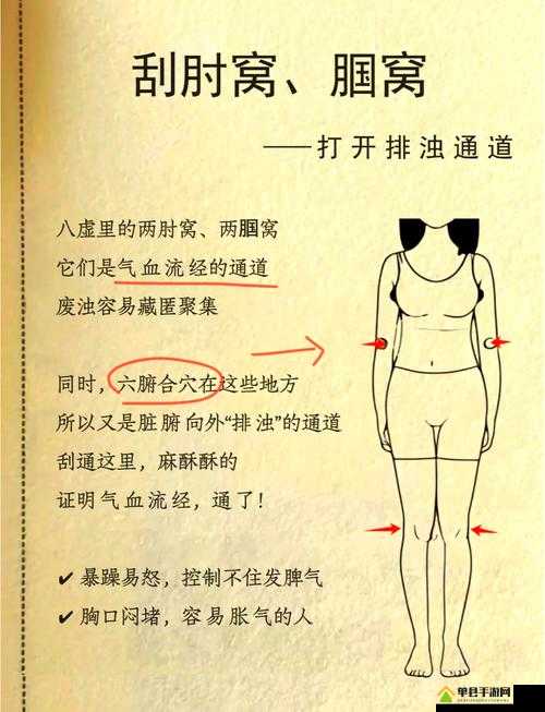顶级村医第五章排毒要吸：探究神奇医术背后的秘密