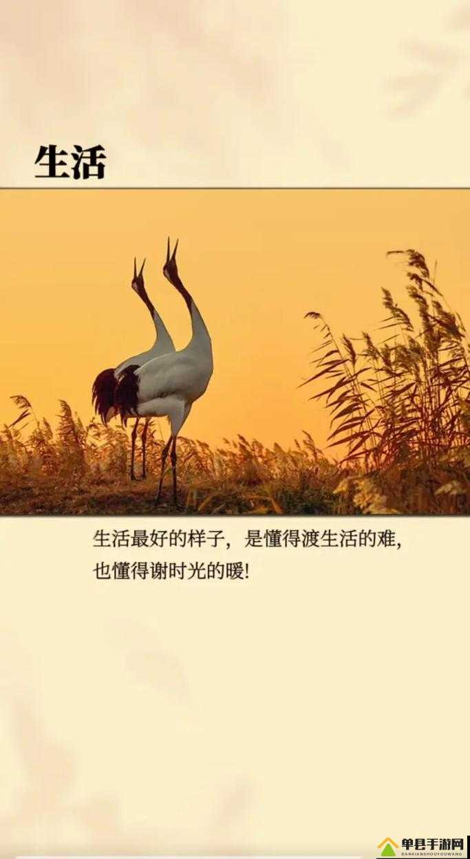 认可 719y 你会回来感谢我的：这是一份真诚的断言