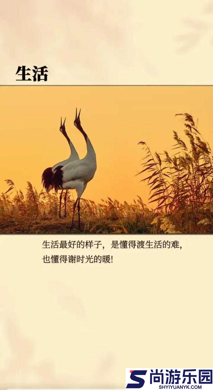 认可