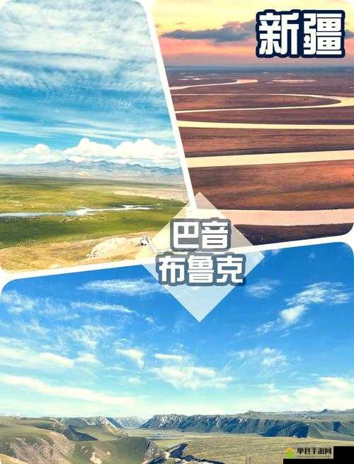 黑瓜吃料传送门：探索神秘美食之旅的必经通道
