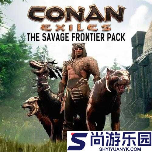 流放者柯南PS4版详细切换视角操作方法与步骤指南