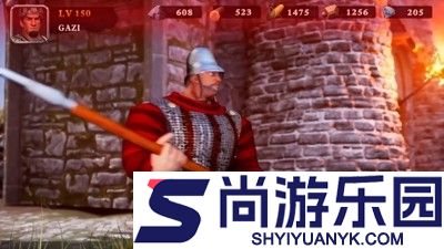 人类纪元崛起VIP价格表