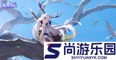 龙魂旅人兑换码详细一览
