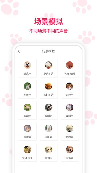 动物翻译器中文版下载免费