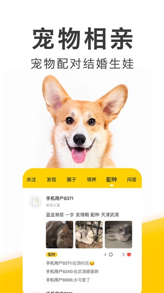 有只宠物软件