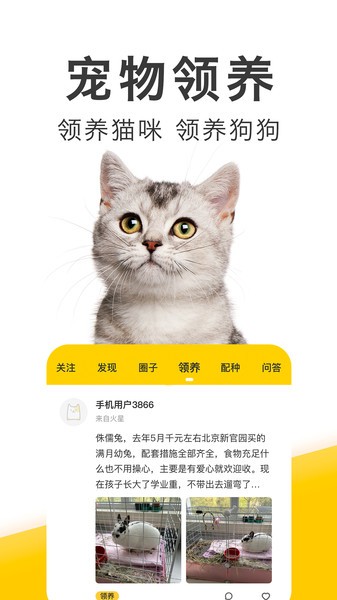 有只宠物软件